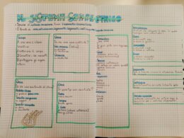 Il sistema scheletrico