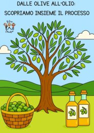 DALLE OLIVE ALL'OLIO: SCOPRIAMO INSIEME IL PROCESSO