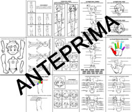 SCIENZE/INTERDISCIPLINARE: SCHEMA CORPOREO - LE PARTI DEL CORPO - CLASSE PRIMA - SCUOLA PRIMARIA