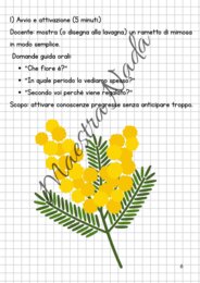 Giornata internazionale della donna attività interdisciplinare dalla classe seconda scuola primaria