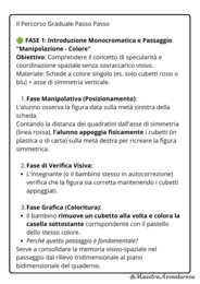 Schede didattiche SIMMETRIA FACILE con Cubetti  | Metodo Singapore (CPA)