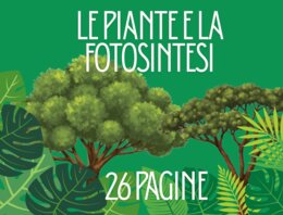 Alla scoperta delle piante – Schede didattiche sulla fotosintesi e la riproduzione vegetale per la scuola primaria terza e quarta