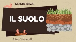 Il suolo: percorso completo con spiegazioni ed esperienze pratiche
