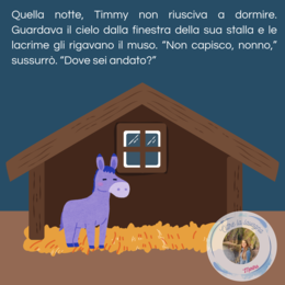 eBook "Timmy e la stella del nonno" di Martha Pagnini