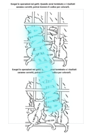 Sottrazioni con grandi numeri in colonna con disegni da colorare in base al risultato