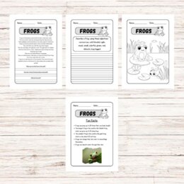 Lettura e comprensione in inglese – Frogs