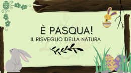 Pasqua e il risveglio della natura 🌿🐰