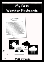 My first weather flashcards