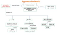 Mappa concettuale sull'apparato circolatorio