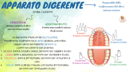 IL CORPO UMANO - Un viaggio dentro di noi!