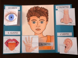 APRENDO – APPRENDO®: LAPBOOK "I 5 SENSI"