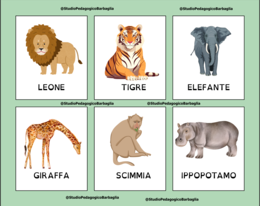 Schede lessicali – Gli animali