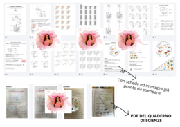 Apparato Digerente – Percorso di Scienze (PDF con lezioni e schede)