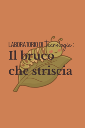 Bruco che si muove