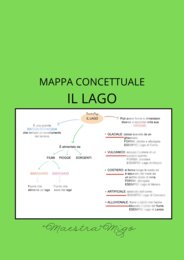 Mappa concettuale il lago