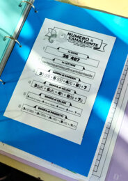 Tavole "NUMERI IN LINEA" + Numero "CAMALEONTE"