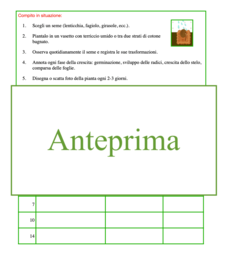 Diario di un seme; carte, letture e attività concrete; classi 2/5