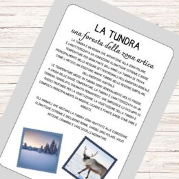 Schede didattiche sulla Tundra