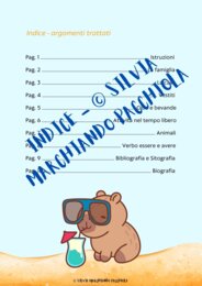 Summer holidays - activity book - classe 3^