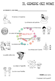 Il genere del nome