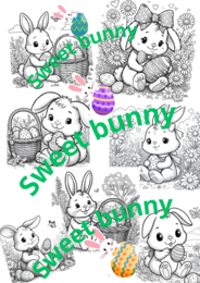Sweet Bunny