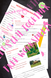 Clil - Primary School - Technology; Microchips and animals