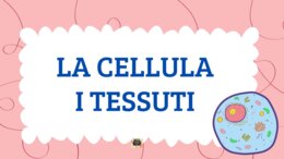 LA CELLULA E I TESSUTI - QUADERNO DI SCIENZE V -