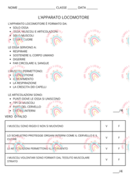 apparato locomotore prova di verifica