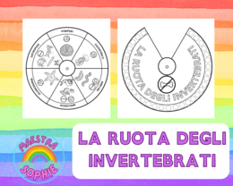 LA RUOTA DEGLI ANIMALI INVERTEBRATI
