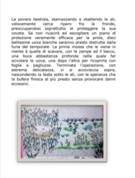 Libro Ciao, Sono Rick!