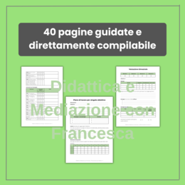 BUNDLE Registro di Sostegno Editabile | Guida, Osservazioni ICF, PEI e Diario di Bordo