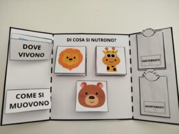 LAPBOOK SUGLI ANIMALI