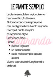 Alla scoperta delle piante – Schede didattiche sulla fotosintesi e la riproduzione vegetale per la scuola primaria terza e quarta