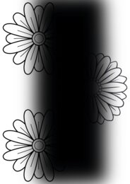 Colori primari - secondari - complementari - ARTE IMMAGINE CLASSE 1^ - 2^