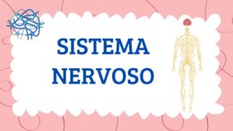 IL SISTEMA NERVOSO - QUADERNO DI SCIENZE CL. 5^ - con matrice-