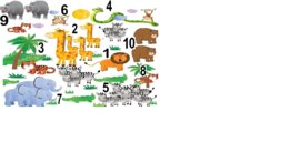 LINGUA INGLESE Utilizzo di "It is - They are" associato ai vocaboli relativi a "wild animals" (animali selvatici).