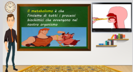 Le trasformazioni del cibo nell'apparato digerente