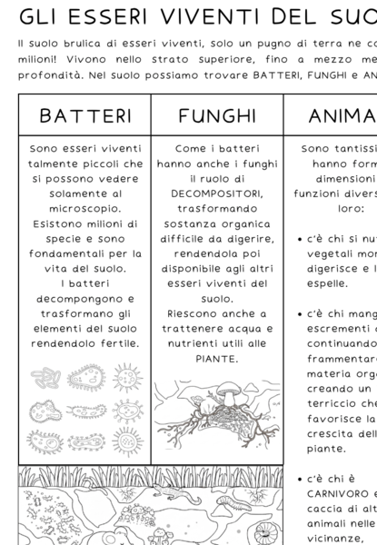 Gli esseri viventi del suolo