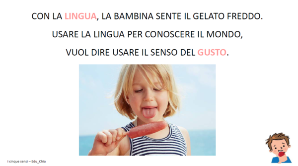 I cinque sensi