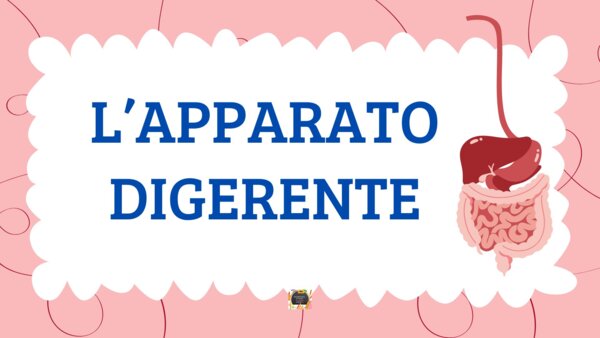 L'APPARATO DIGERENTE - QUADERNO DI SCIENZE CL. 5^ -