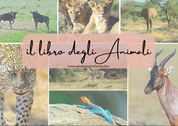 LIBRO DEGLI ANIMALI