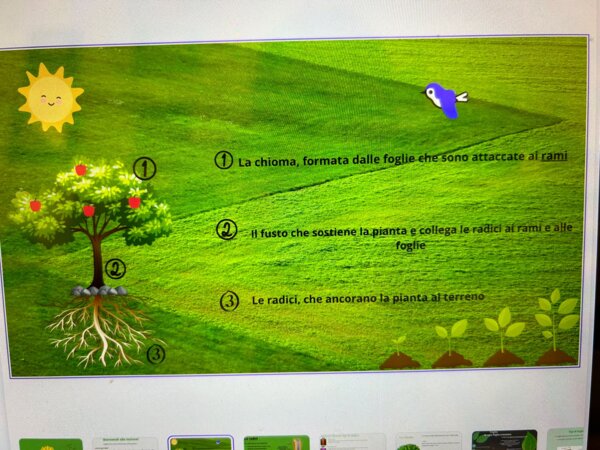 ppt sugli alberi e le foglie