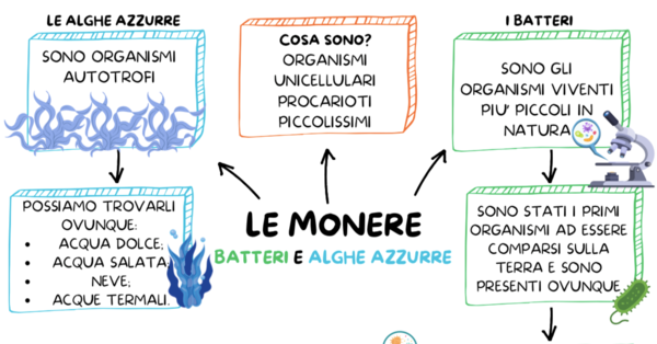 MONERE, PROTISTI E FUNGHI