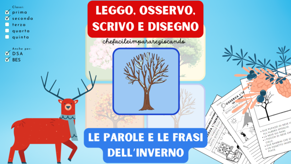 INVERNO - OSSERVO, SCRIVO, LEGGO E DISEGNO