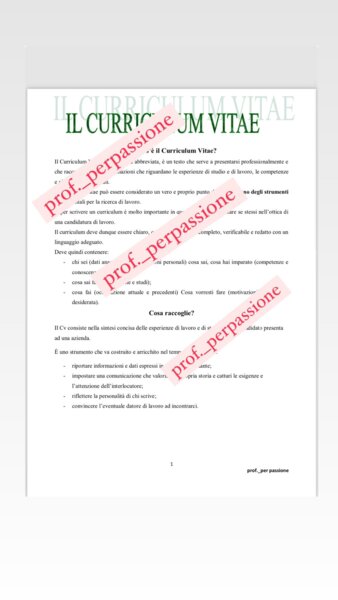 IL CURRICULUM VITAE