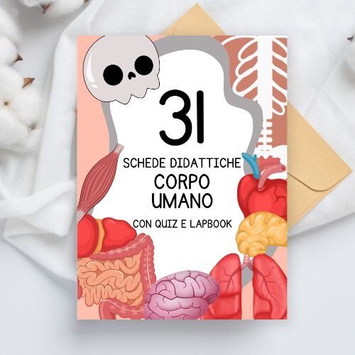 Schede didattiche corpo umano