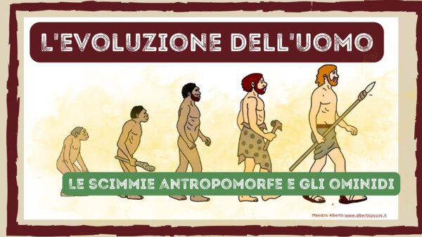 LE SCIMMIE ANTROPOMORFE e gli OMINIDI: videolezione di storia con mappe e schede per la classe terza