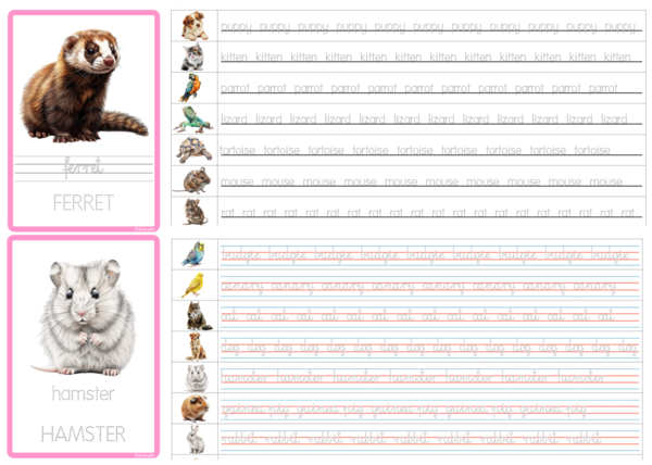 Tracing Activity: Pets