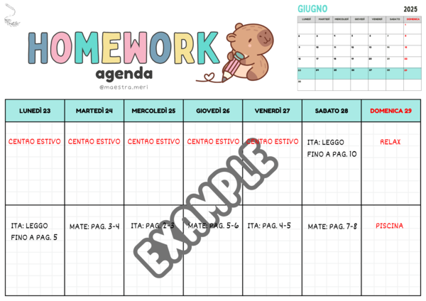 Planning Homework estate 2025