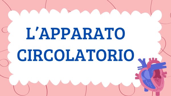 L'APPARATO CIRCOLATORIO - QUADERNO DI SCIENZE CL. 5^ -